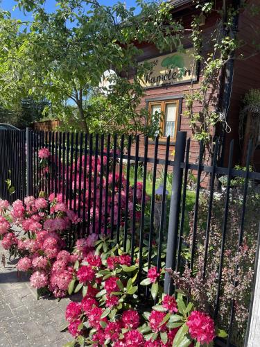 a black fence with pink flowers in front of a house at Kameleon Dźwirzyno in Dźwirzyno