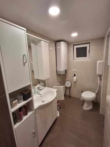 a bathroom with a sink and a toilet at Apartma Hiška Vrh in Stari Trg pri Ložu