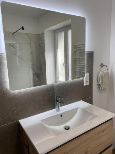a bathroom with a white sink and a mirror at Le marcquis in Marcq