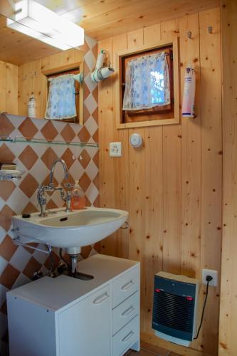 a bathroom with a sink in a cabin at Le Mazot des Révines - 2 pers in Champéry