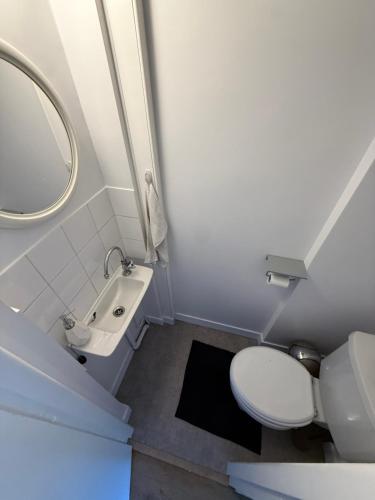 a small bathroom with a toilet and a sink at LebonCosy in Limoges