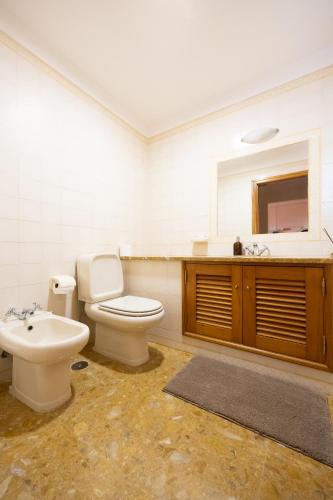 a bathroom with a toilet and a sink and a mirror at Casa da Barragem - Castelo de Bode in Castelo do Bode