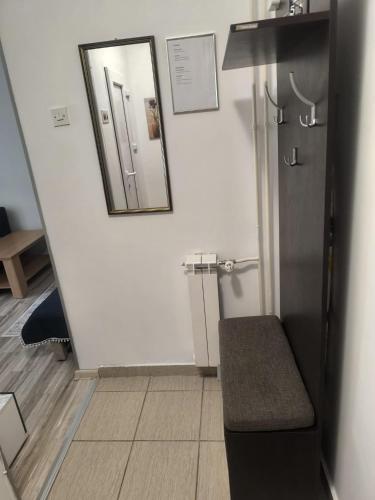 a bathroom with a mirror and a small refrigerator at Apartman Točaković in Kladovo