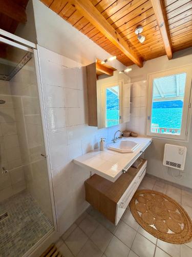 a bathroom with a sink and a shower at La cabane les pieds dans l'eau, accès direct au lac d'Annecy in Doussard