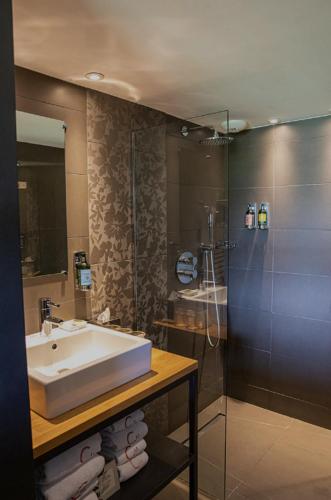 a bathroom with a sink and a shower at Le Petit Létraz in Duingt