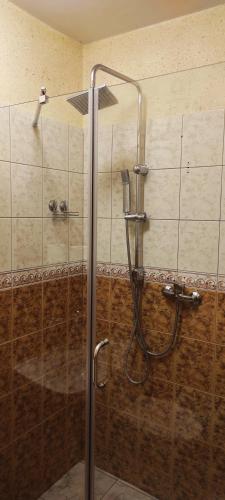 a shower with a glass door in a bathroom at Zajazd-Restauracja ELZA in Kutno