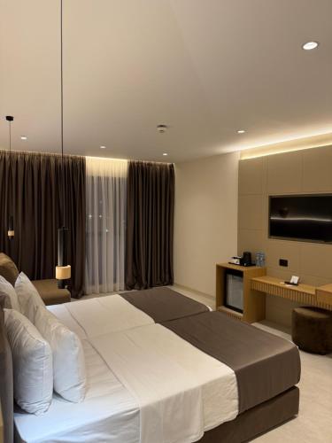a large bedroom with a large bed and a television at DriArt Center in Tirana