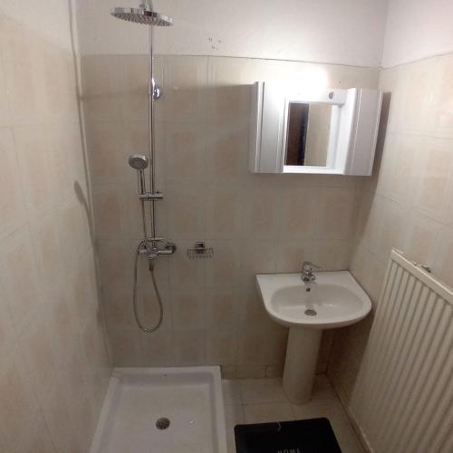 a bathroom with a shower and a sink at Family garden house in Limenas