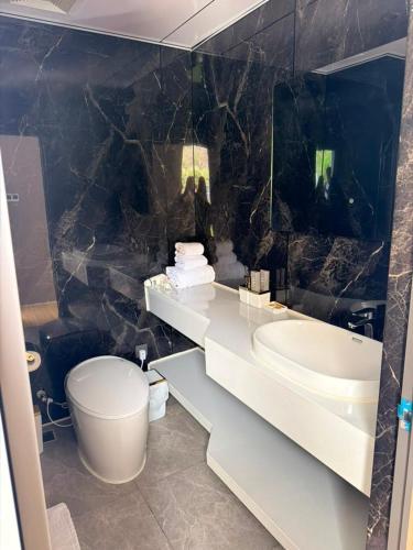 a bathroom with a sink and a toilet and a mirror at ZEVS-Holiday Complex in Deu