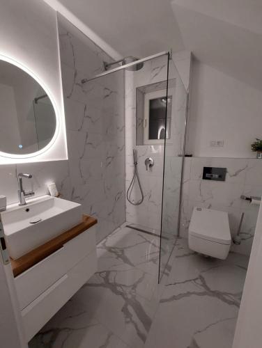 a bathroom with a sink and a shower and a toilet at Vikendica Dijana Ramsko jezero in Ploča