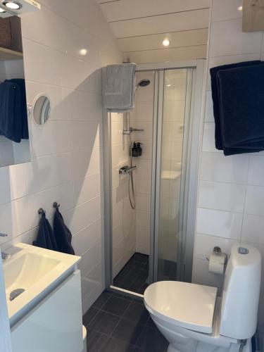 a bathroom with a shower and a toilet and a sink at Båtmansstugan i Gamla Stan in Kalmar