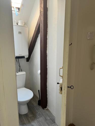 a bathroom with a toilet in a attic at Máneska in Cheb