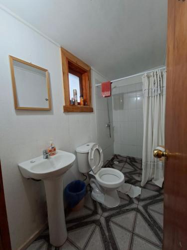 a bathroom with a toilet and a sink at Refugio entre Coihues in Melipeuco