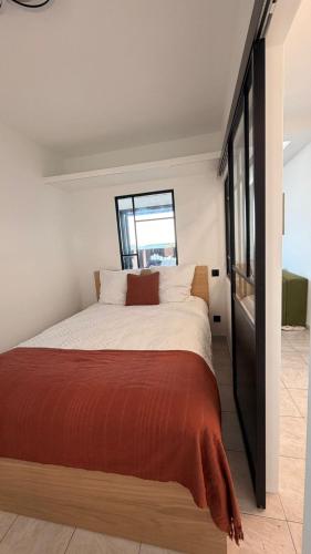 Apartment with sunny terrace downtown Cannes