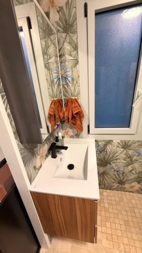 Apartment with sunny terrace downtown Cannes