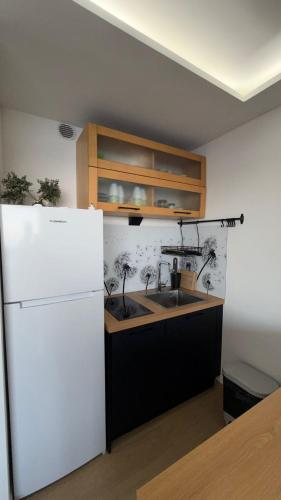 Apartment with sunny terrace downtown Cannes