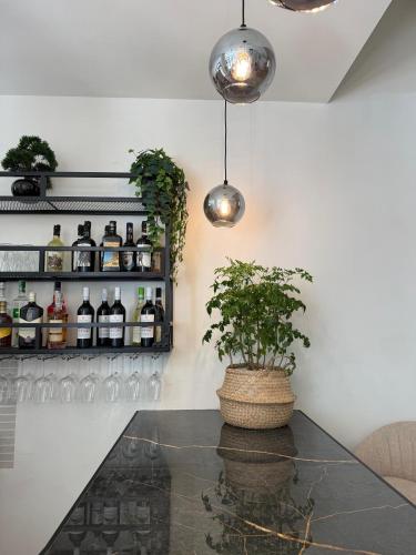 a room with a table with a potted plant at Hotel LUMIè Pescasseroli in Pescasseroli