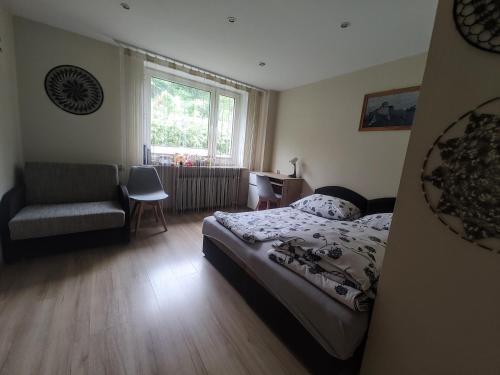 a bedroom with a bed and a chair and a window at Mieszkanie Solina in Solina