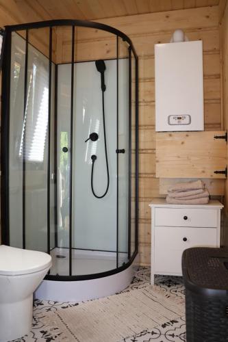 a glass shower in a bathroom with a toilet at Chata u Drwala Święta Lipka in Święta Lipka