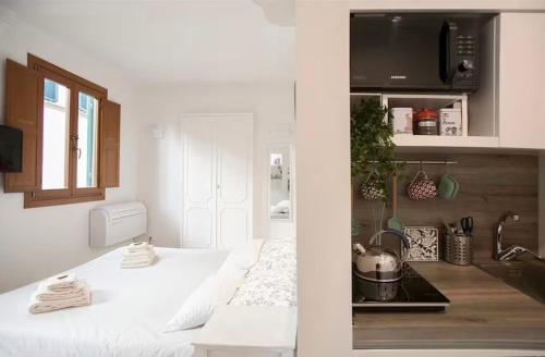 Cozy Studio for Couples near Pitti Palace