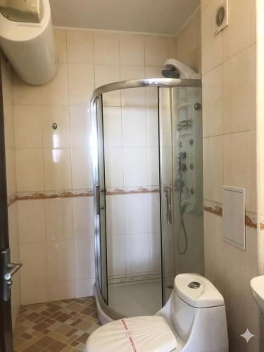 a bathroom with a shower with a toilet and a sink at Апартаменти Спас 2 in Sinemorets