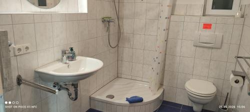 a bathroom with a sink and a shower and a toilet at Ferienwohnung am Waldrand in Herdwangen-Schönach