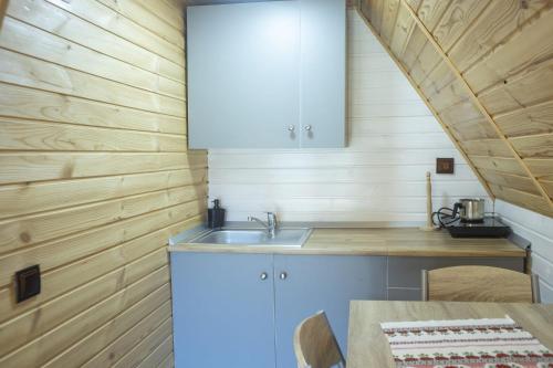 a kitchen with a sink and a wooden wall at La Casute Piatra Teiului in Poiana Largului