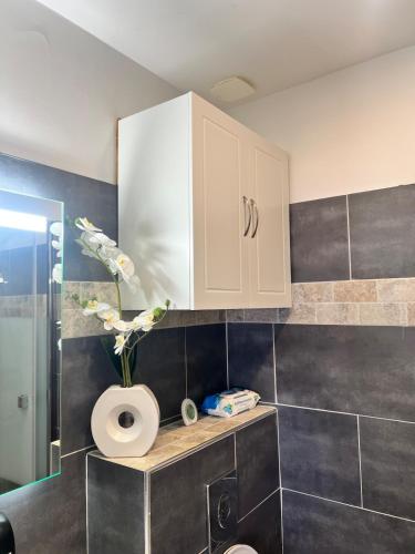 a bathroom with a toilet paper roll on a counter at Charmant studio île & cap in Bastia
