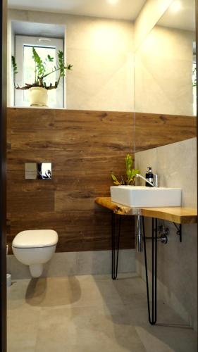 a bathroom with a sink and a toilet at Villa Góralka in Polanica-Zdrój