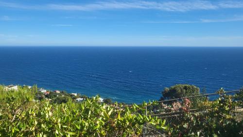 a view of the ocean from a hill at Costa Plana apartment with terrace and sea view in Cap d'Ail