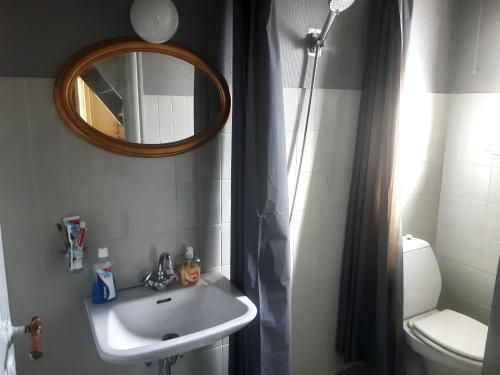 a bathroom with a sink and a mirror and a toilet at Charming Villa close to the sea in Errindlev