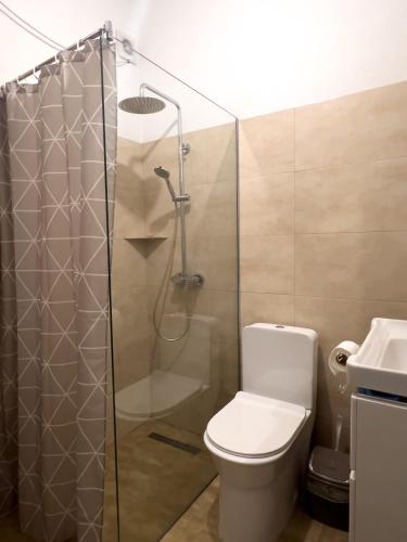 a bathroom with a shower and a toilet and a sink at Cozy spacious apartment in Peje