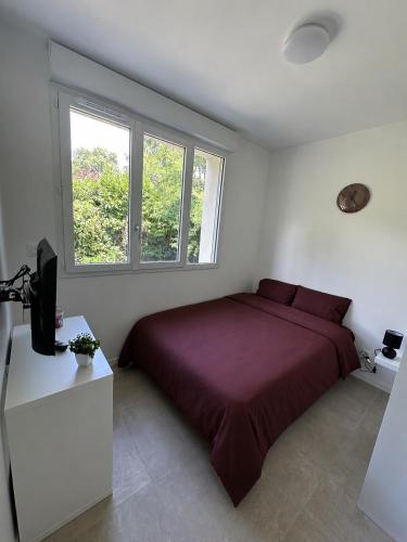 a bedroom with a bed and a desk with a television at Studio CASA COCO-2pers Béligneux in Béligneux