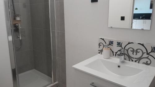 a bathroom with a sink and a shower at Quiétude au Bord de Loire. in Orléans