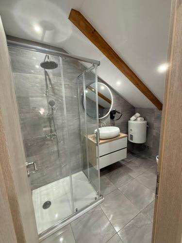 a bathroom with a shower with a mirror and a toilet at Apartman Lucija 5 in Zubovići
