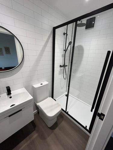a bathroom with a shower and a toilet and a sink at Skye Cabins in Skeabost