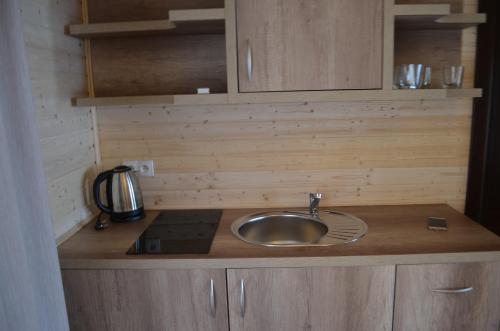 a kitchen counter with a sink in a caravan at OW Wiktoria in Rogowo