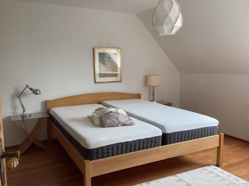 a bedroom with two beds in a room at Storchennest im Leinetal in Einbeck