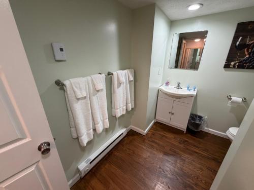a bathroom with a sink and towels on the wall at Strip Location Pet Friendly Fire Pit in Geneva