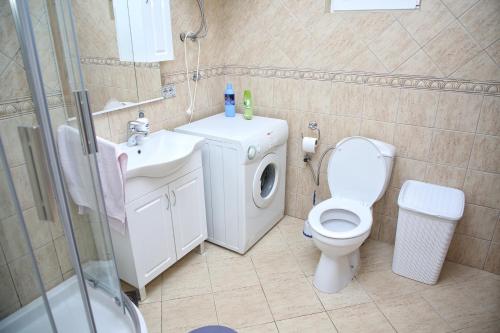 a bathroom with a toilet sink and a washing machine at Vila Zeleno borje in Žabljak