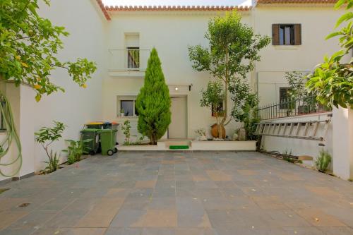 Modern Yellow Studio in Restelo Belém