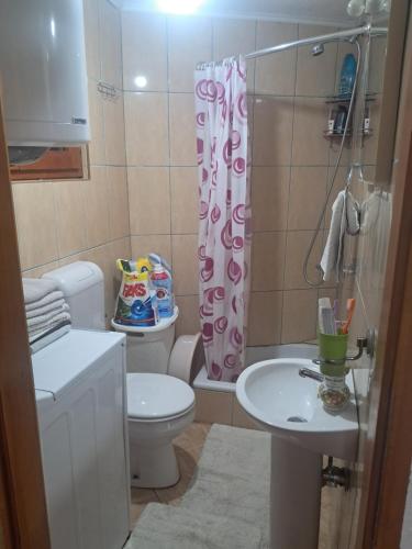 a bathroom with a toilet and a sink and a shower curtain at Apartman Dar Bošković Klasik in Danilovgrad