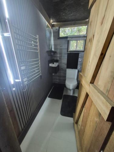 a bathroom with a toilet and a wooden door at Froglets island cabin in Bexley