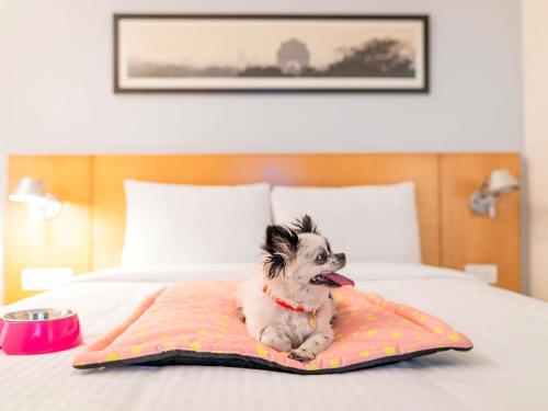 a small dog sitting on a blanket on a bed at ibis Bengaluru City Centre - An Accor Brand in Bangalore
