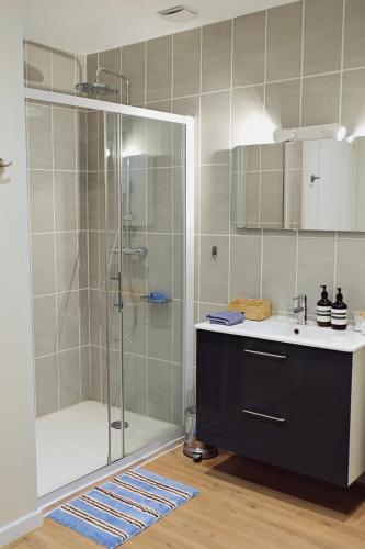 Elegant Renovated Apartment in Avignon