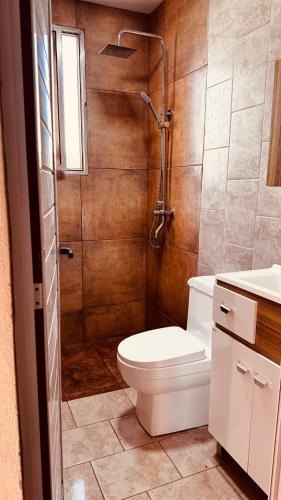 a small bathroom with a toilet and a shower at SomosRio II Apart in La Cruz