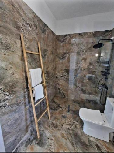 a bathroom with a ladder and a toilet at Ελαιόλιθοι Μάνη Villas 2 in Oitylo