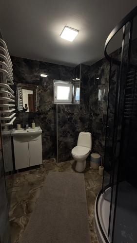 a bathroom with a toilet and a sink and a shower at ЛІДІЯ in Yasinya