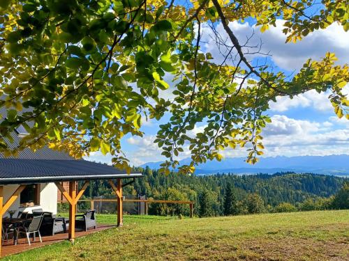 a house with a gazebo in a field at Domek na Przełęczy in Ochotnica Górna