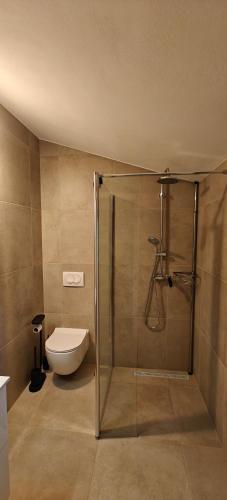 a bathroom with a toilet and a glass shower at Casa Evelina in Čepić